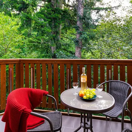 公寓 Wonder - W Sercu Karpacza, Blisko Deptaka I Terenow Zielonych 卡尔帕奇